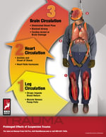 Roco Trauma Safety Poster Rev_2023