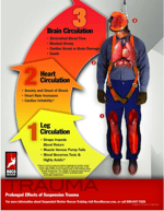 Roco Suspension Trauma Safety Poster